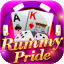 rummy 91 promo code